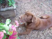 post-175700-0-79236500-1403343957_thumb.