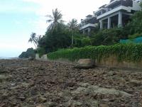 post-17753-0-44444500-1403934577_thumb.j