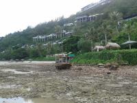 post-17753-0-52603300-1403934619_thumb.j