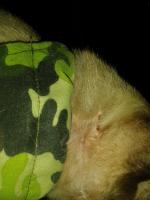 post-17753-0-61831200-1401895598_thumb.j