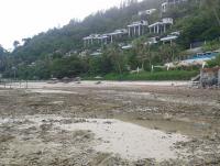 post-17753-0-75876500-1403934624_thumb.j