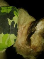 post-17753-0-77392100-1401895602_thumb.j