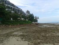 post-17753-0-78366700-1403934631_thumb.j