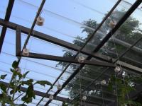 post-184243-0-79280900-1401631660_thumb.