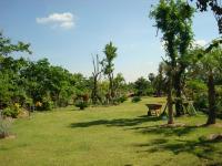 post-190508-0-16688300-1402063595_thumb.