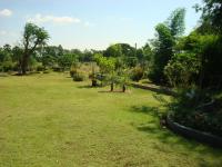 post-190508-0-20467000-1402063619_thumb.