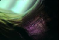 post-201592-0-34696700-1403571260_thumb.