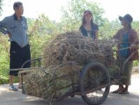 post-2215-0-57710000-1403465722_thumb.jp