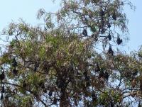 post-2215-0-72626900-1403466933_thumb.jp