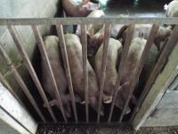 post-32351-0-09207200-1403957975_thumb.j