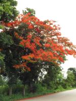 post-32351-0-15854100-1402728429_thumb.j