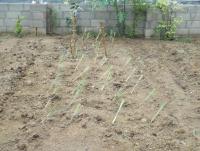 post-32351-0-33563700-1402477462_thumb.j