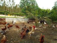 post-32351-0-45324300-1403957894_thumb.j