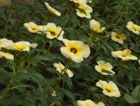 post-32351-0-49356400-1404003130_thumb.j