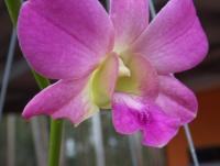 post-32351-0-63128800-1404003194_thumb.j