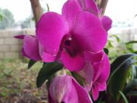 post-32351-0-73266300-1404003157_thumb.j