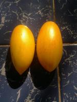 post-37242-0-41539100-1401609496_thumb.j