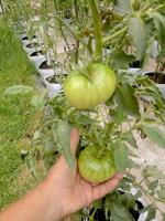 post-37242-0-67290000-1401609821_thumb.j