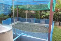 post-41650-0-30048300-1401600716_thumb.j