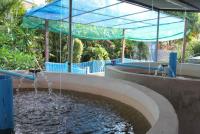 post-41650-0-31823600-1401601680_thumb.j