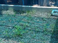 post-41650-0-72447000-1401601946_thumb.j