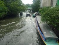 post-46292-0-66340000-1402176751_thumb.j