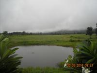 post-68260-0-02190200-1404093430_thumb.j