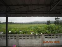 post-68260-0-09750800-1404093447_thumb.j