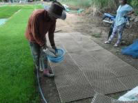 post-95995-0-18864200-1402923668_thumb.j