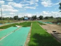 post-95995-0-87426400-1402923690_thumb.j