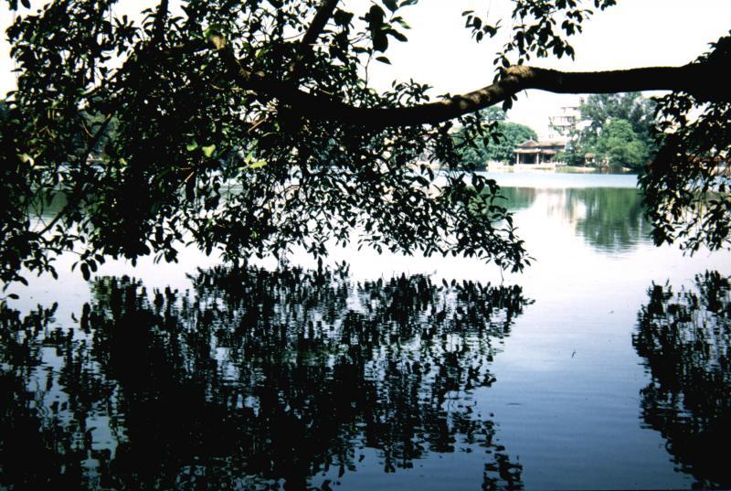 post-102759-0-31960100-1435103095_thumb.