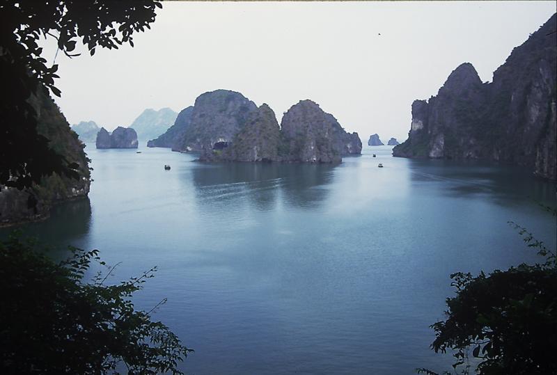 post-102759-0-47847000-1435105599_thumb.