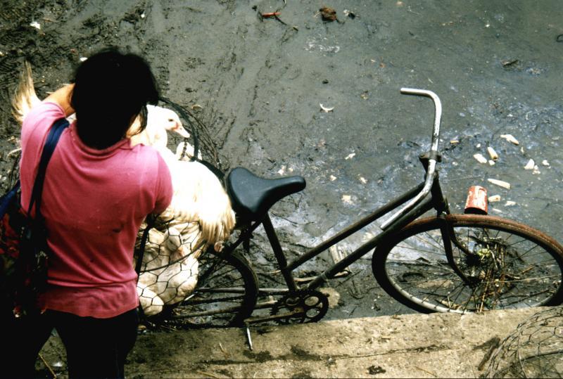 post-102759-0-48823700-1435104475_thumb.