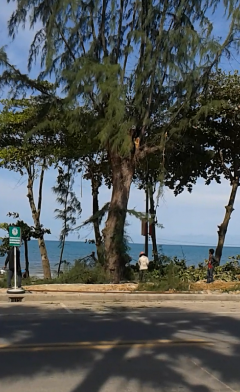 post-110622-0-26305500-1434253131_thumb.