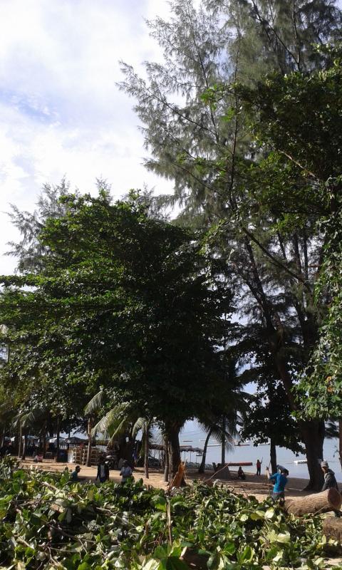 post-110622-0-48428200-1433816822_thumb.