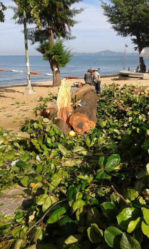 post-110622-0-58521000-1433816831_thumb.