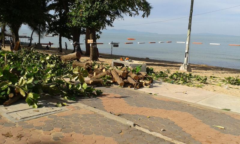 post-110622-0-79730300-1433816840_thumb.