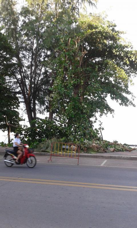 post-110622-0-89068700-1433816808_thumb.