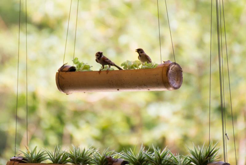 post-11943-0-85784900-1433300072_thumb.j