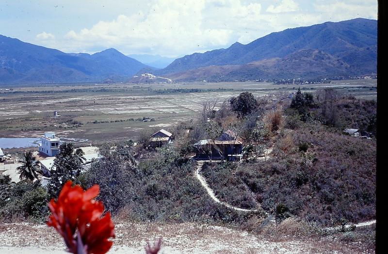 post-11958-0-51585600-1435393374_thumb.j