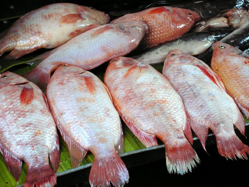 post-119985-0-77490400-1433150997_thumb.