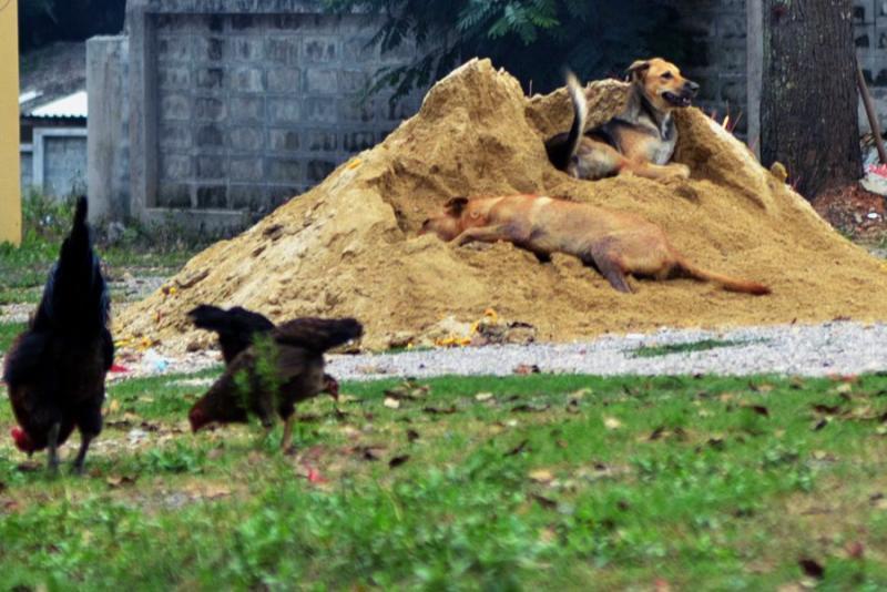 post-146250-0-18562500-1434162667_thumb.