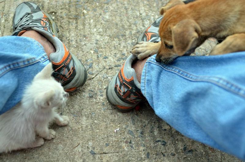 post-146250-0-22232500-1434107599_thumb.