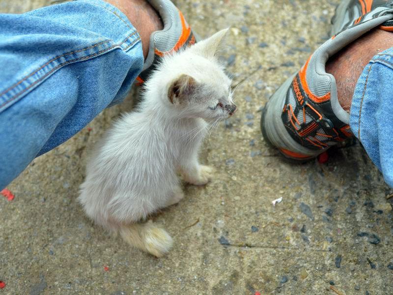 post-146250-0-52238200-1434264952_thumb.