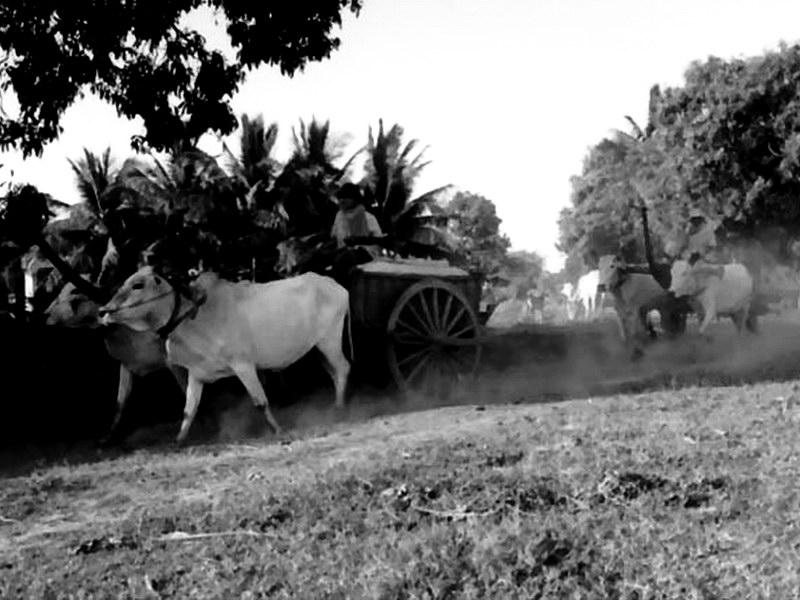 post-146250-0-56549900-1435546398_thumb.