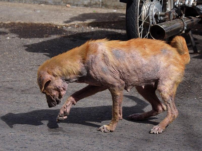 post-146250-0-63907500-1434710098_thumb.