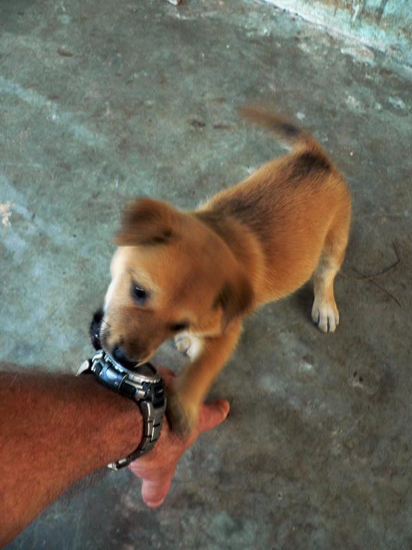 post-146250-0-90469600-1435545817_thumb.