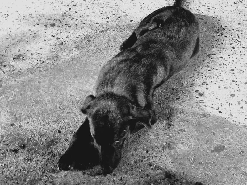 post-146250-0-95802400-1434162801_thumb.