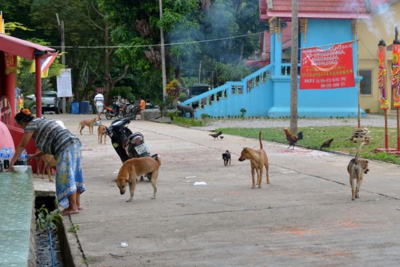 post-146250-0-97897800-1434107288_thumb.