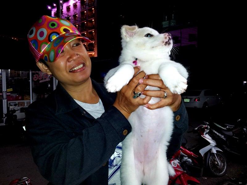 post-146250-0-99755000-1434710021_thumb.